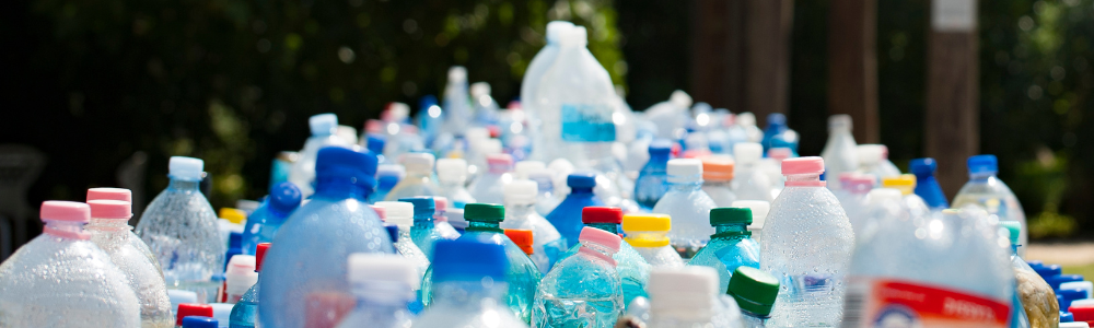 Toxins 101: Plastics, Plastics Everywhere!